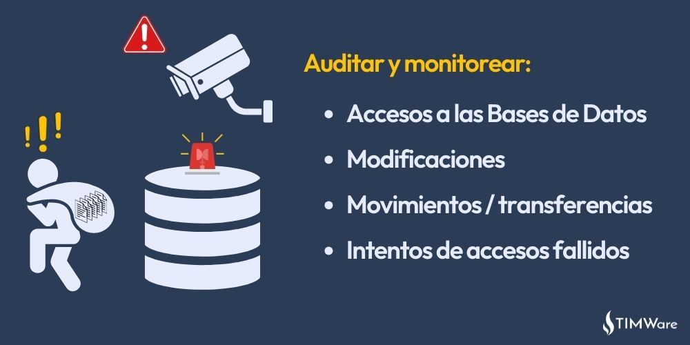 Auditar y monitorear los accesos a las bases de datos